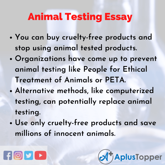 Persuasive speech on animal testing