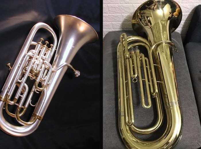 Tuba audiophile