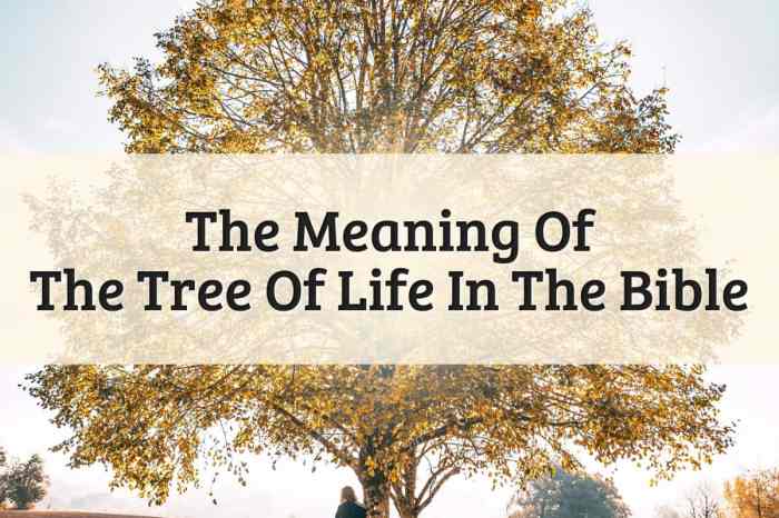 Variableness meaning in the bible