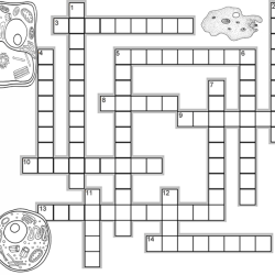 The cell crossword puzzle answer key