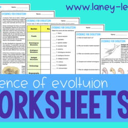 Evidence evolution webquest