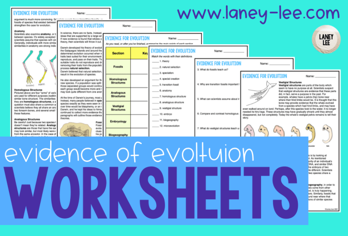 Evidence evolution webquest