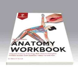 Meet the muscles muscle anatomy workbook answers