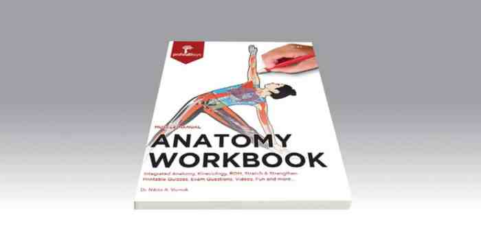 Meet the muscles muscle anatomy workbook answers